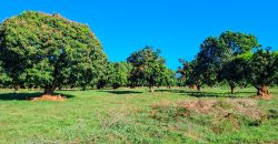 Premium Residential Plots near Malindi Airport