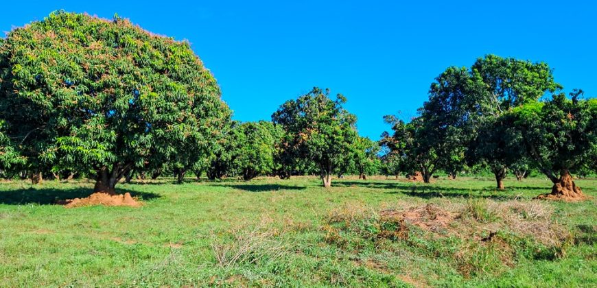 Premium Residential Plots near Malindi Airport