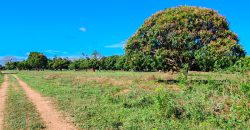 Premium Residential Plots near Malindi Airport
