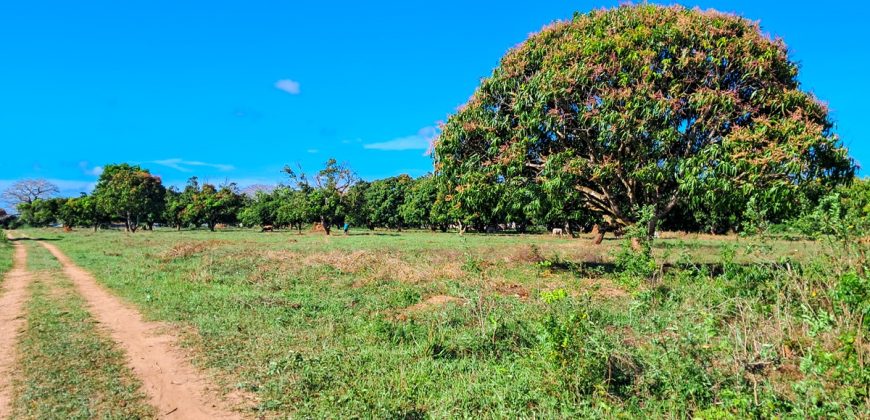 Premium Residential Plots near Malindi Airport