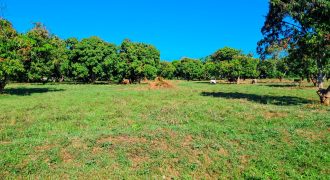 Premium Residential Plots near Malindi Airport