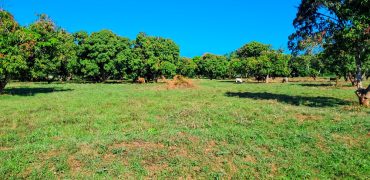 Premium Residential Plots near Malindi Airport