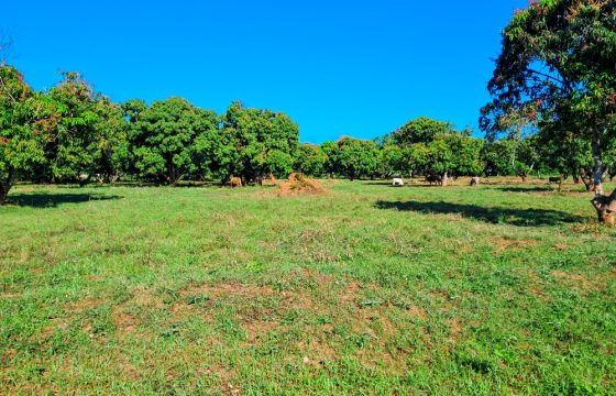 Premium Residential Plots near Malindi Airport