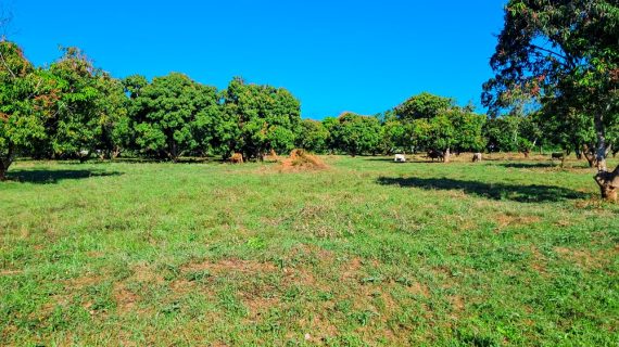 Premium Residential Plots near Malindi Airport