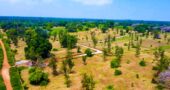 Residential Gated Community Plots Malindi