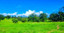 Residential Gated Community Plots Malindi