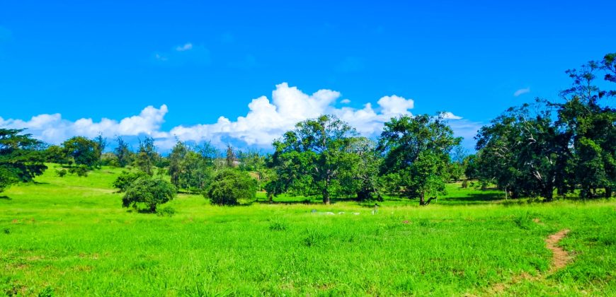 Residential Gated Community Plots Malindi