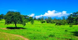 Residential Gated Community Plots Malindi