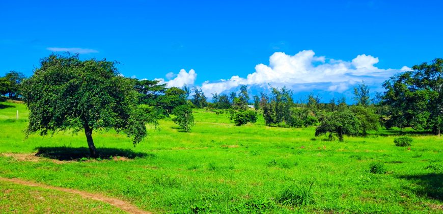 Residential Gated Community Plots Malindi
