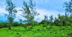 Residential Gated Community Plots Malindi