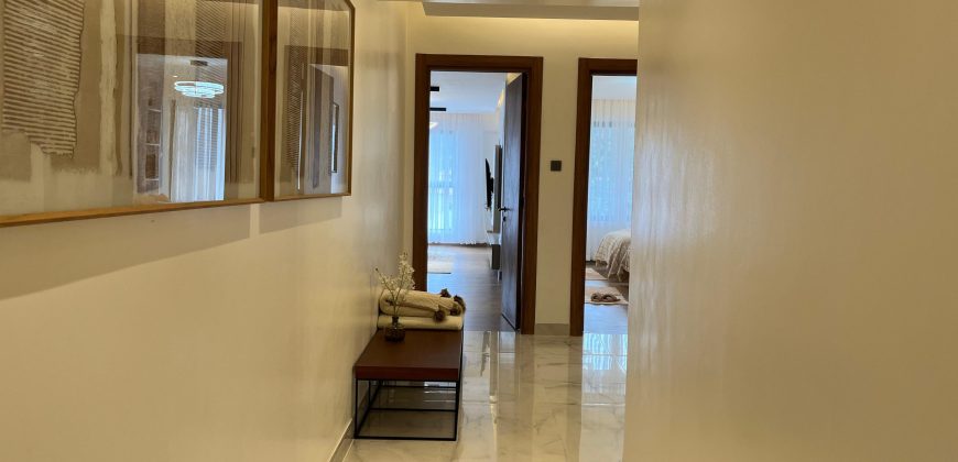 Luxury Duplexes and Apartments