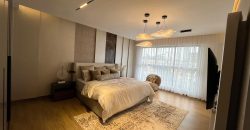 Luxury Duplexes and Apartments