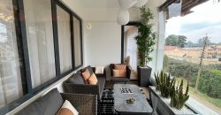 Luxury Duplexes and Apartments