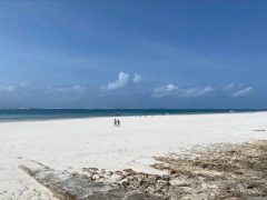 Prime Quarter Acre Beach Plots