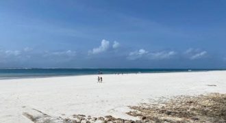 Prime Quarter Acre Beach Plots