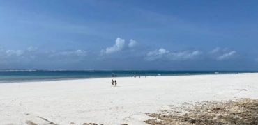 Prime Quarter Acre Beach Plots