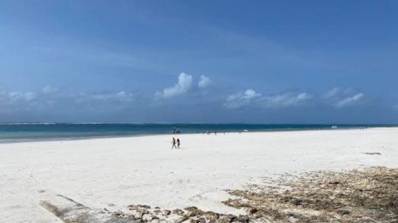 Prime Quarter Acre Beach Plots