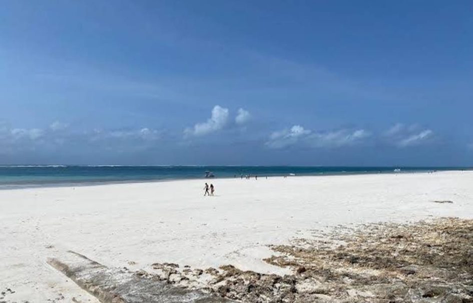 Prime Quarter Acre Beach Plots