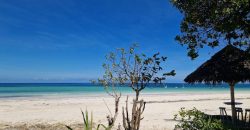 Prime Quarter Acre Beach Plots