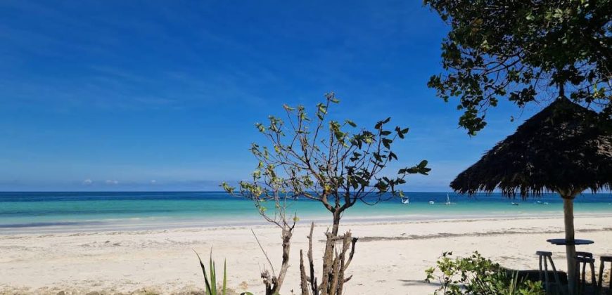 Prime Quarter Acre Beach Plots