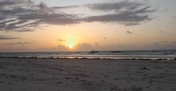 Prime Quarter Acre Beach Plots