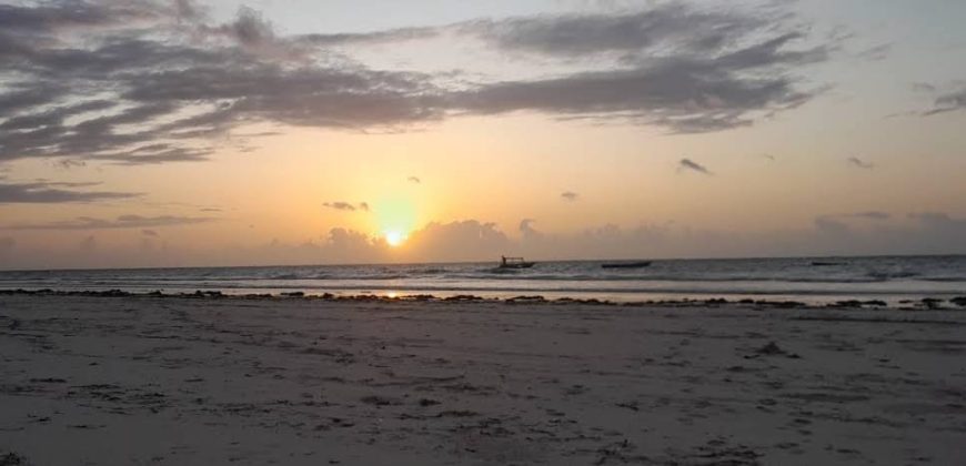 Prime Quarter Acre Beach Plots