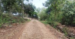 Prime Quarter Acre Beach Plots