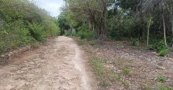 Prime Quarter Acre Beach Plots