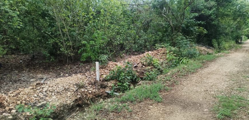 Prime Quarter Acre Beach Plots