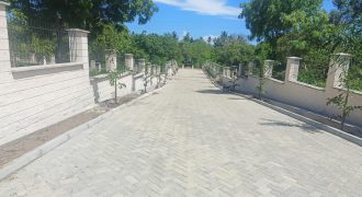 Prime Half Acre 1st Row Beach Plots