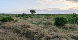 Affordable Farm Land in Malindi