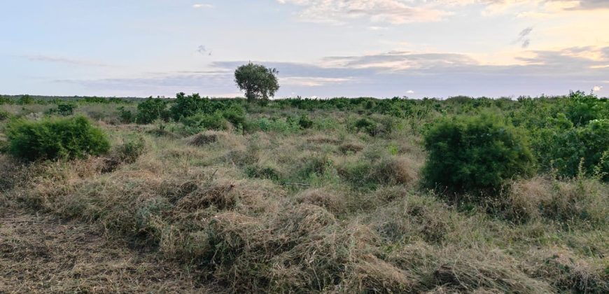 Affordable Farm Land in Malindi