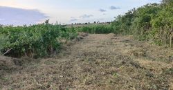 Affordable Farm Land in Malindi