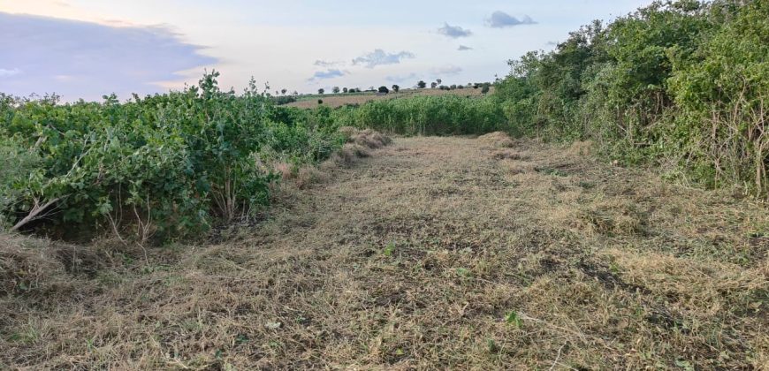 Affordable Farm Land in Malindi