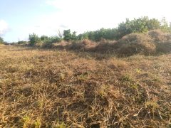 Affordable Farm Land in Malindi