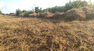 Affordable Farm Land in Malindi