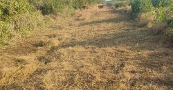 Affordable Farm Land in Malindi