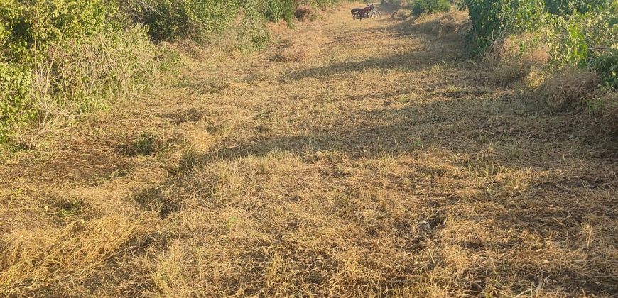 Affordable Farm Land in Malindi