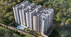 Ultra Modern 1,2 and 3 Bedroom Apartments