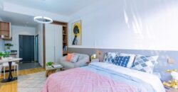 Affordable Modern Studio And 1 Bedroom Apartments