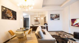 Fully Furnished 2 Bedroom Apartment