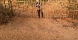 50 Acres Fertile Farming Land Touching The River