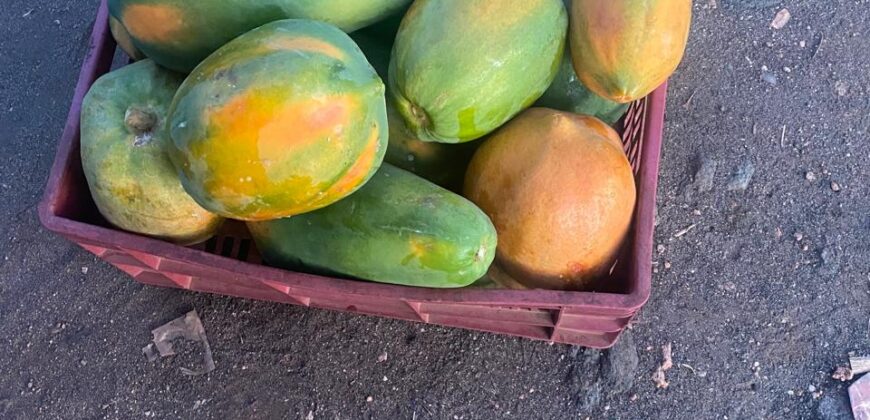 50 Acres Fertile Farming Land Touching The River