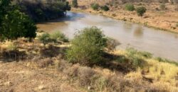 50 Acres Fertile Farming Land Touching The River