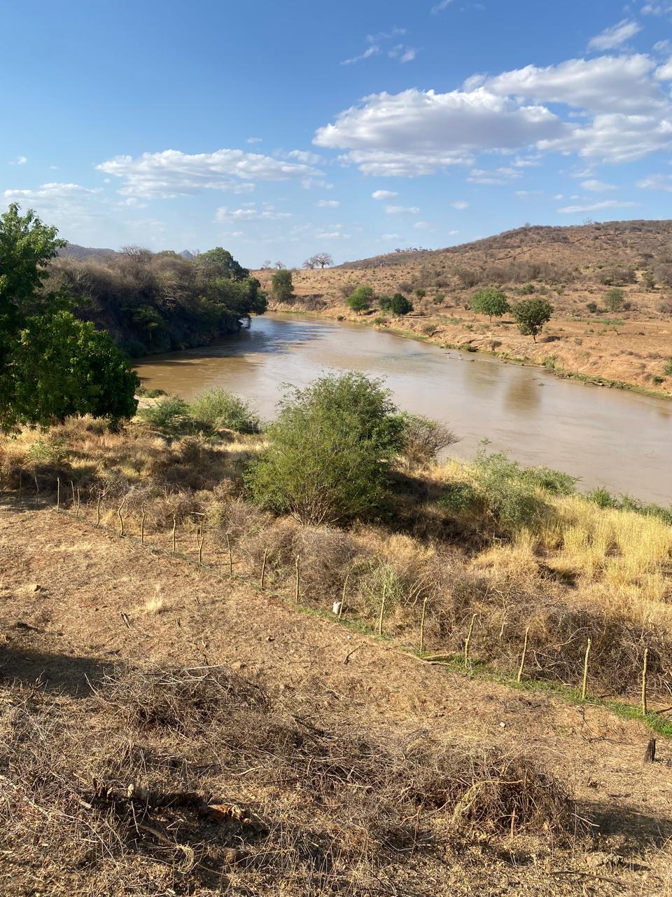 50 Acres Fertile Farming Land Touching The River