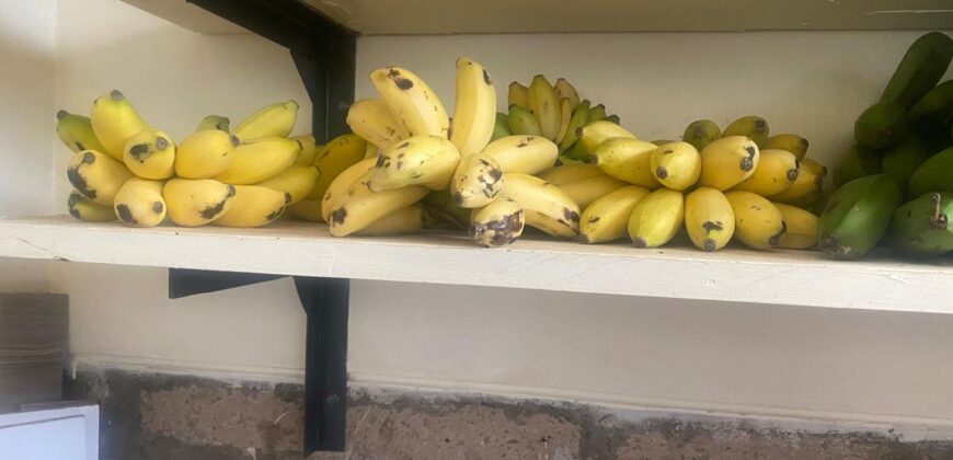 50 Acres Fertile Farming Land Touching The River