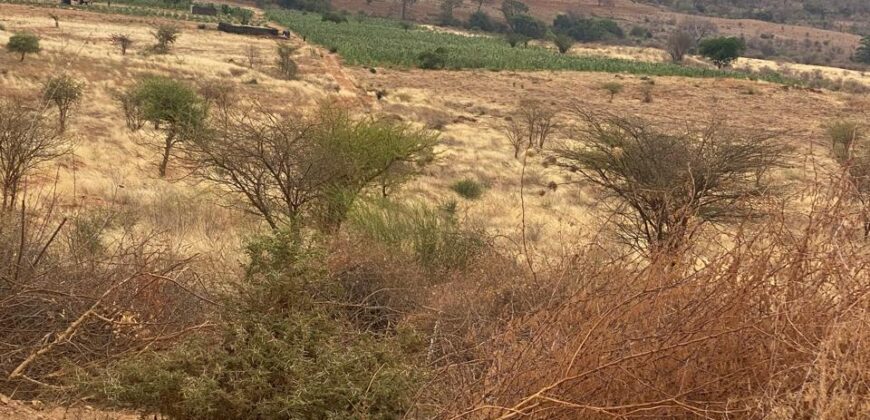 50 Acres Fertile Farming Land Touching The River