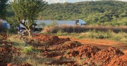 50 Acres Fertile Farming Land Touching The River