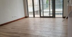 New Ready to Move in Luxury Villa in Lavington