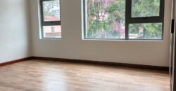 New Ready to Move in Luxury Villa in Lavington